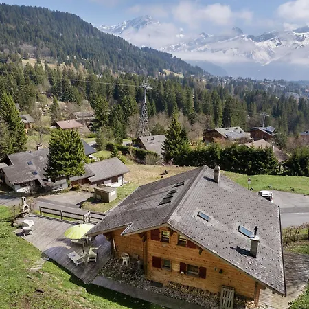 Saint Piran-1 By Interhome Villars-sur-Ollon